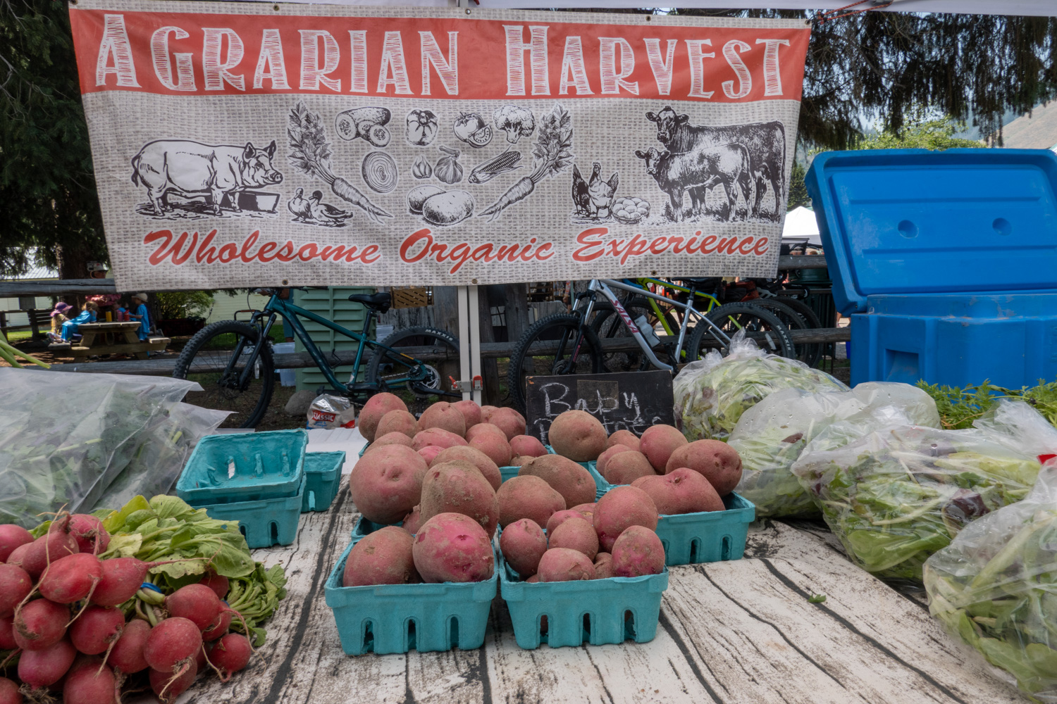 Agrarian Harvest Farm in Buhl, Idaho