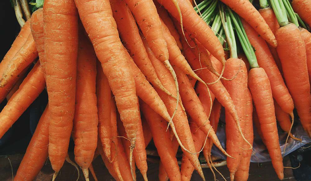 Locally sourced holiday recipes featuring root vegetables
