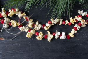 Local food holiday gifts - Cranberry Popcorn Garland