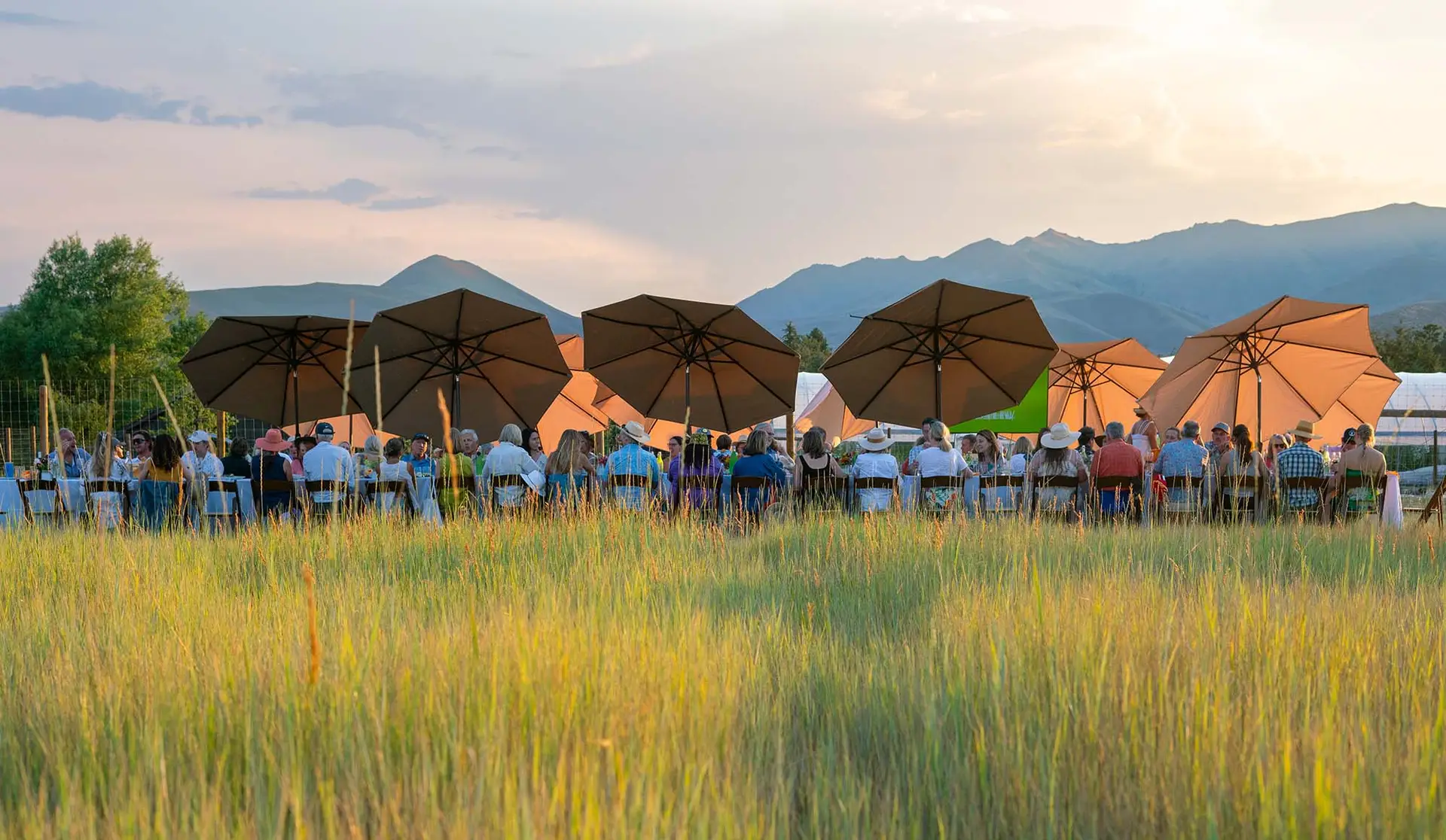 Locally Sourced Meal at Squash Blossom Farm