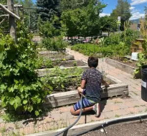 Sun Valley Institute program create opportunities for local food for kids