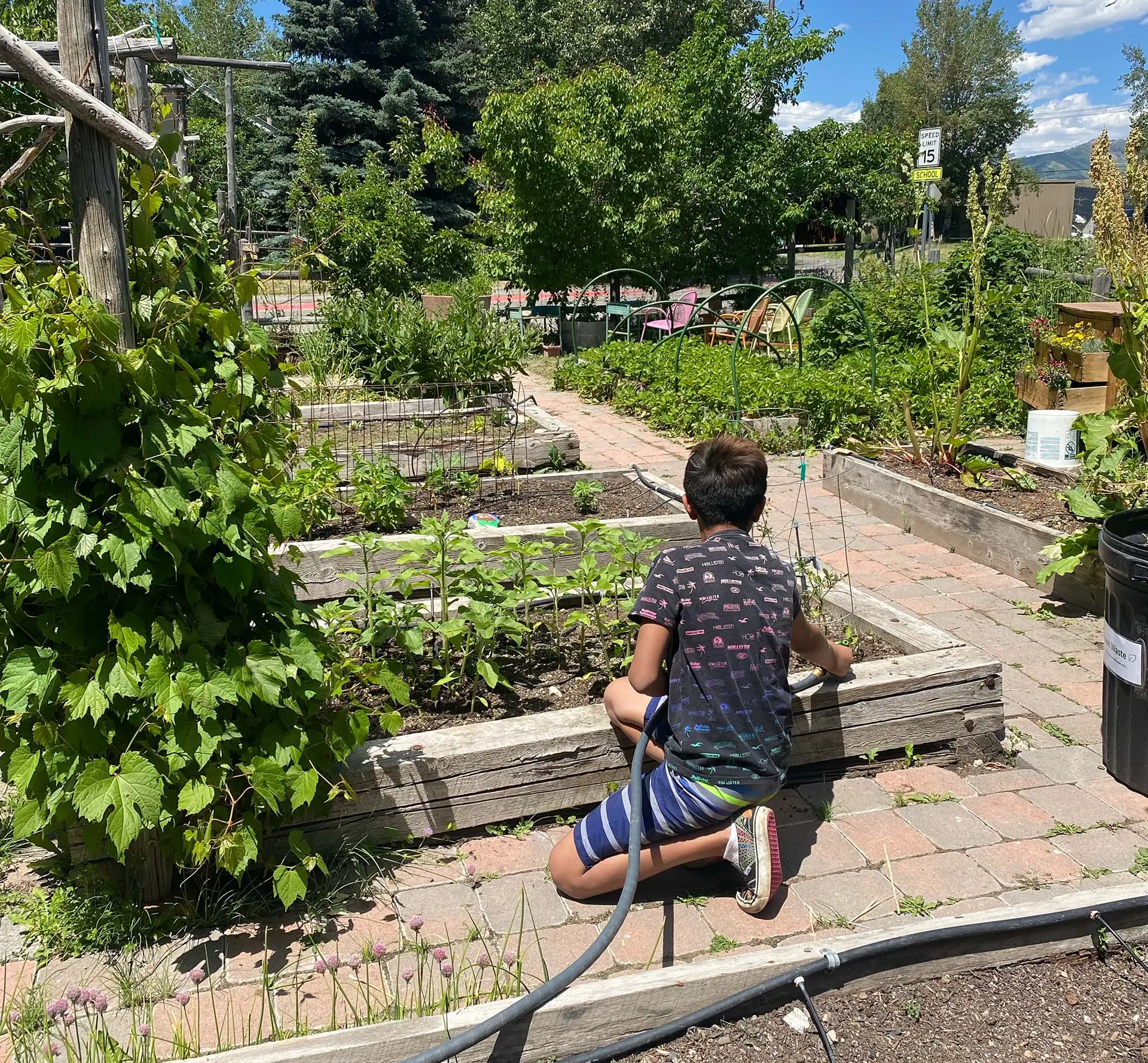 Sun Valley Institute program create opportunities for local food for kids