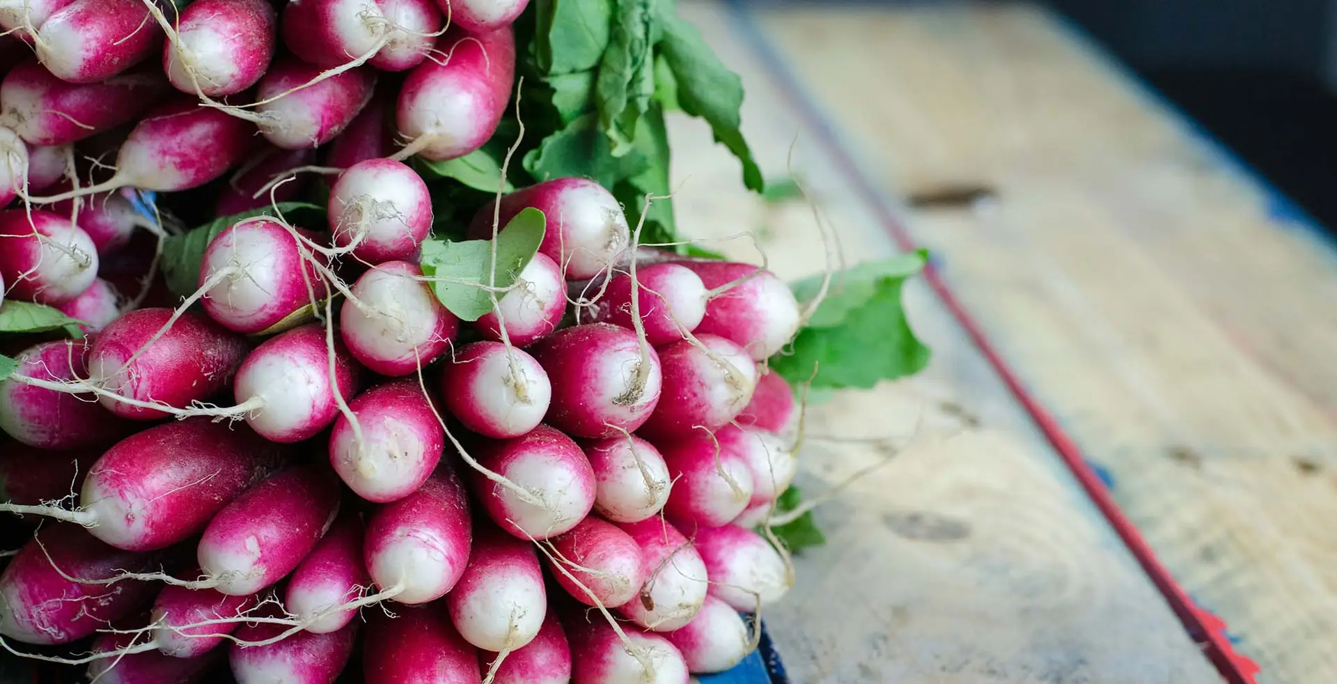 spring radish and endive salad recipe from Squash Blossom Farm