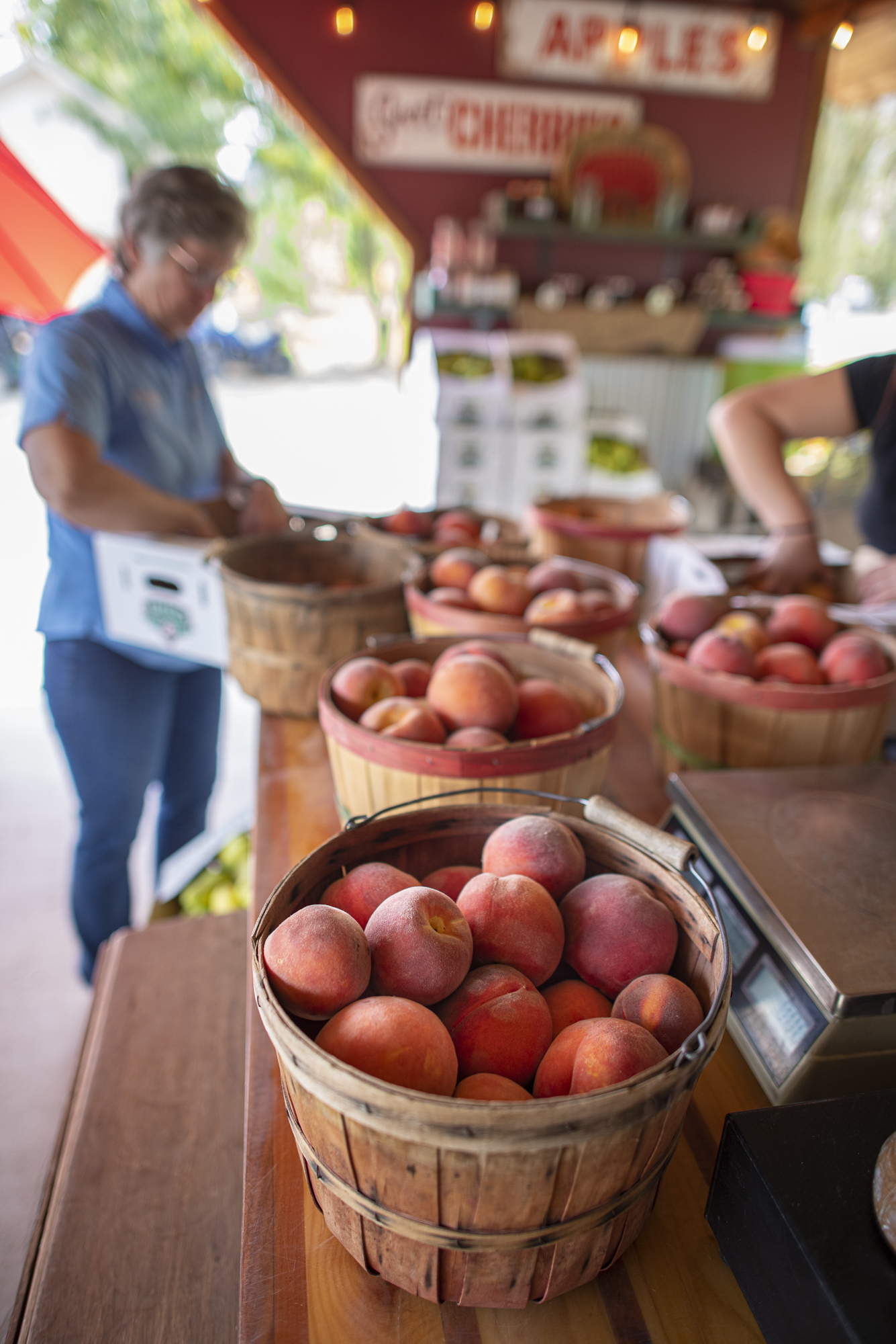 Kelley's Canyon Orchard - Pick Your Own Fruit - Filer, Idaho