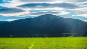 Grain farming and water in Idaho at Hillside Ranch in the Wood River Valley Idaho