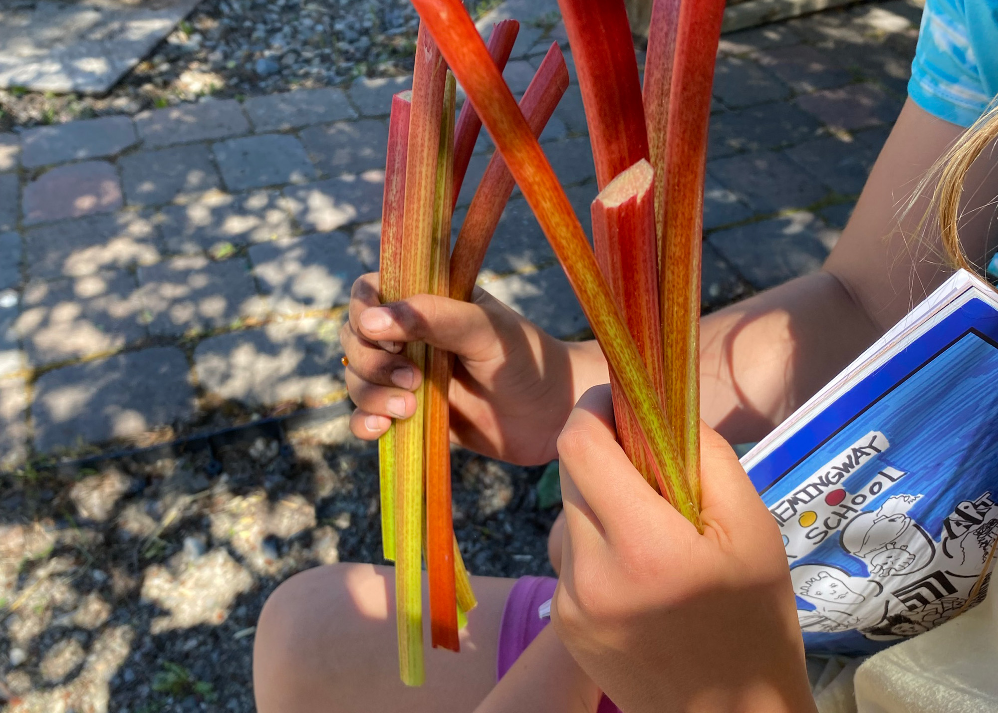 Student gardens thrive in Ketchum, Idaho during School Food Month